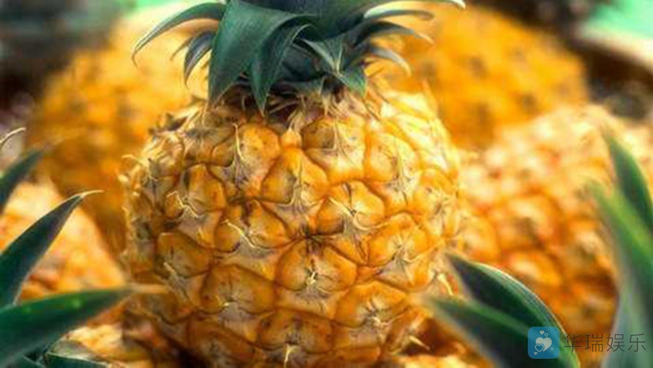 菠萝含有多少维生素c?