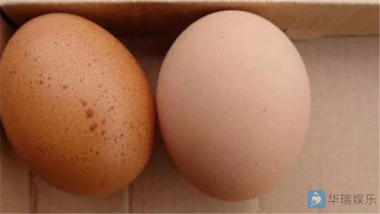 鸡蛋壳发霉,鸡蛋通常变质,所以不能吃,会含有大量有害
