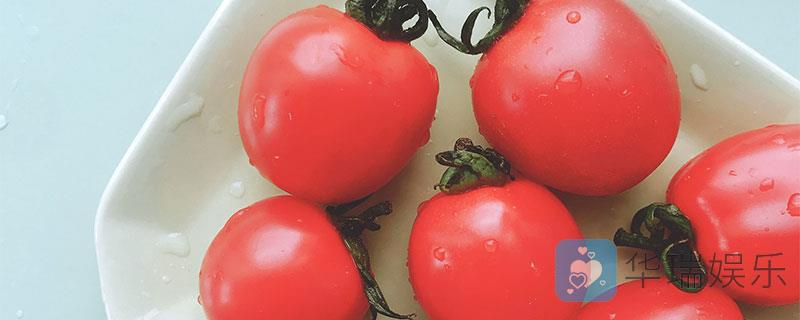 西红柿为什么不能和豆腐一起吃？西红柿易搭配什么？